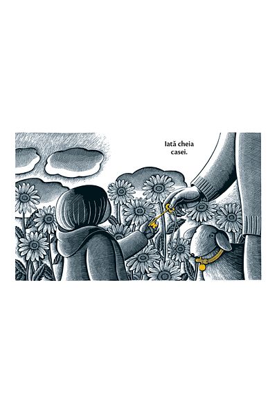 Editura Cartea Copiilor The House at Night - by Susan Marie Swanson, illustrations by Beth Krommes