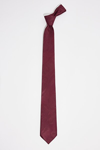 Tudors Patterned Classic Men's Tie with Pocket Handkerchief