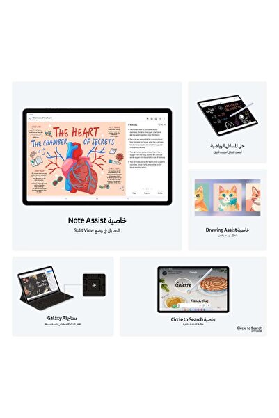 Samsung Galaxy Tab S10+ 5G-12GB/256GB-Moonstone Gray