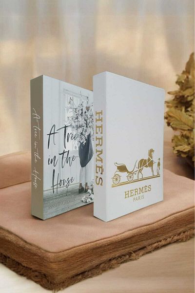 BayCazip Decorative Book Look Box Set of 2 Decorative Book Looking Box