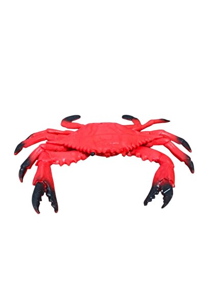 PopŞeker Oyuncak Esnek Yengeç: Eğlenceli ve Yaratıcı Oyunların Arkadaşı