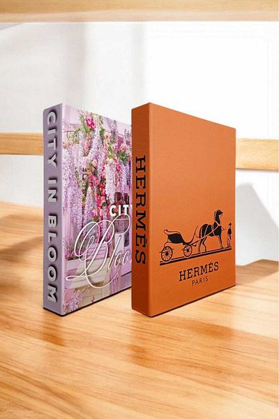 BayCazip Decorative Book Look Box Set of 2 Decorative Book Looking Box