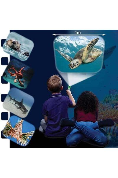 The Natural History Museum Flashlight projector - Marine animals