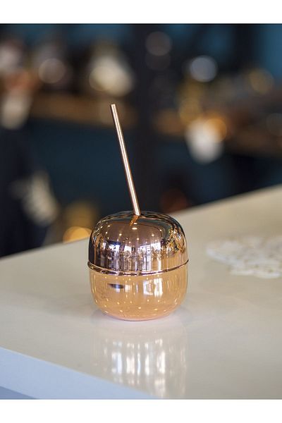 Bakır Concept Apple Forma Copper Cocktail Cup and Straw