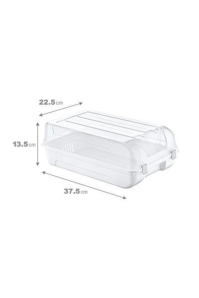 Smartware Men's Shoe Box