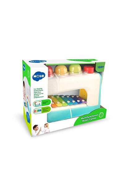 Evelise CENTRU MUZICAL MULTIFUNCTIONAL