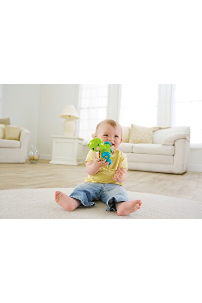 mattel Hračka želva Fisher Price Push and Go