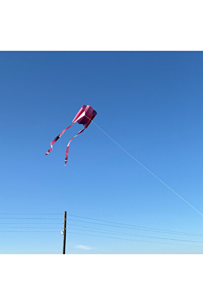 GÜLEN UÇURTMA ÇITASIZ UÇURTMA - AURORA