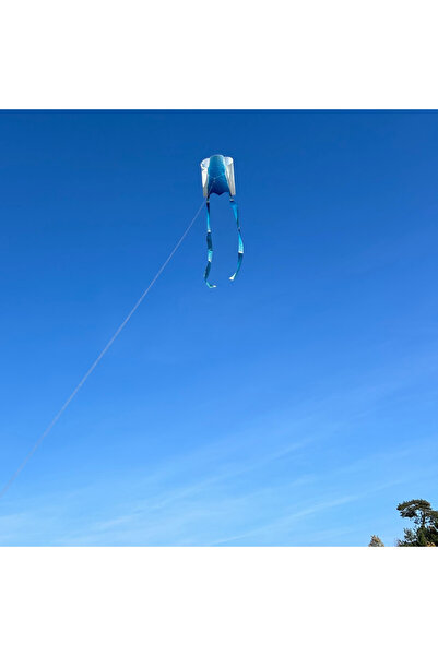 GÜLEN UÇURTMA ÇITASIZ UÇURTMA - AURORA