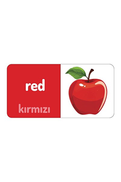Megakids Yayıncılık İlk Öğrenme Kitaplarım: My First Books (5 KİTAP) - 0-3 Yaş Için Türkçe & Ingilizce Resimli Kitap