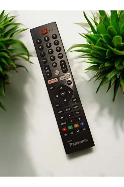 erorex AMGREEN Panasonic TV Remote Control