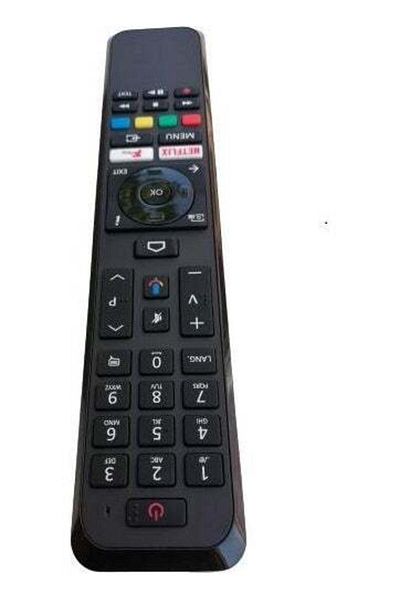 erorex Regal 55R755UA11 Bluetooth Voice TV Remote Control