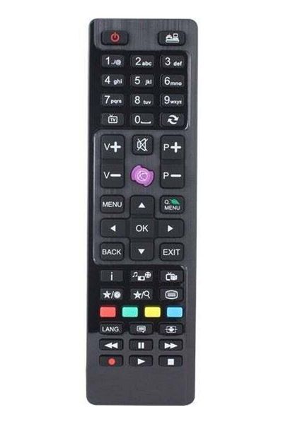 erorex Regal Compatible LCD LED TV Remote Control Square Core Small Model