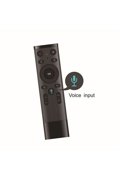 erorex 2.4G Voice Input  Wireless Air Remote Mouse HTPC PC Controller Black