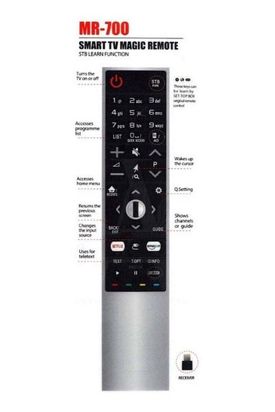erorex Smart Remote Control Replacement for LG Smart TV MR-700 AN-MR700 AN-MR600 OLED65G6P-U with Netflx