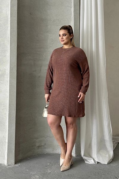 Stil Diva Plus Size Long Sleeve Crew Neck Straight Cut Dress 100-189
