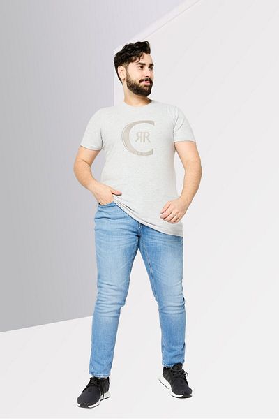 Cerruti 1881 Men Round Neck Short Sleeves Brand Logo T-Shirt, Grey