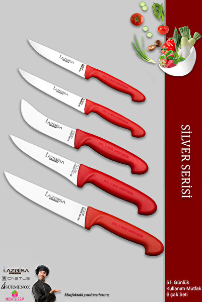 LAZBİSA Silver Serisi Mutfak Bıçak Seti Et Ekmek Sebze Meyve Bıçağı 5 Li Set ...