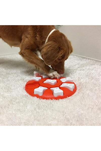 Barkie İzmir Outward Hound X Nina Ottosson Dog Smart Interactive Treat Puzzle Köpek Oyuncağı