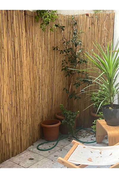 Home 150 Cm X 3 Metre Kamış Hasır Bahçe Çiti Balkon Çiti Gölgelik Ve Dekorasyon