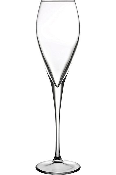 STOREMAX Ntwork Monte Carlo Champagne Glass, 6 Pcs, 225 Cc Art 1087243