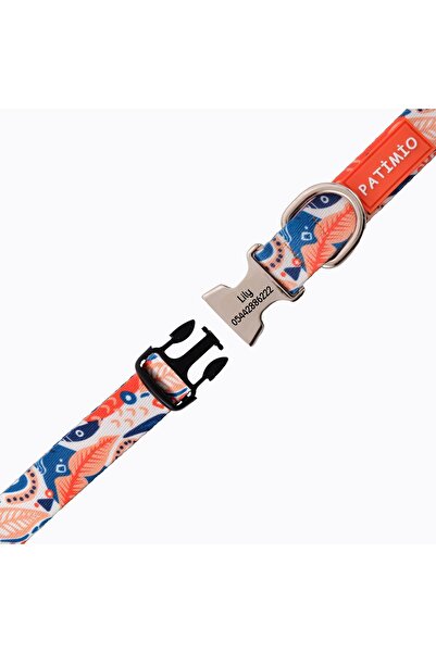 PATİMİO Spring Isimli Köpek Tasması Ve Gezdirme Seti, Köpek Künyesi, Köpek Isimlik, Isme Özel Tasma