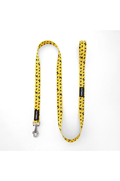 PATİMİO Yellow boom Isimli Köpek Tasması Ve Gezdirme Seti, Köpek Künyesi, Köpek Isimlik, Isme Özel Tasma