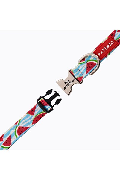 PATİMİO Watermelon Isimli Köpek Tasması Ve Gezdirme Seti, Köpek Künyesi, Köpek Isimlik, Isme Özel Tasma