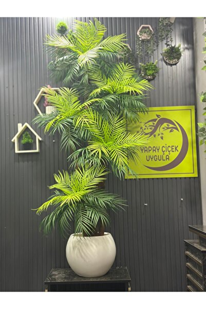 İremÇiçekçilik Yapay Çiçek Uygula Yapay Ağaç Salon Çiçeği 200 Cm Areka