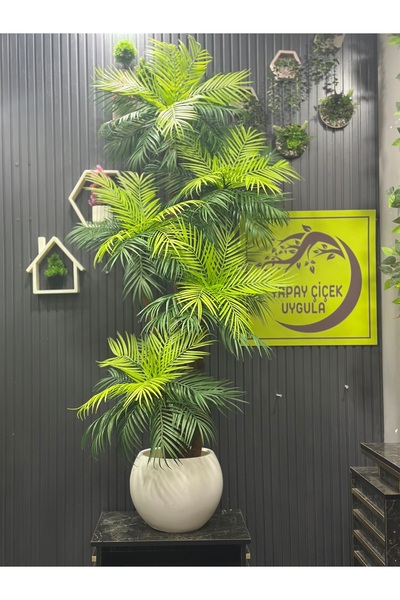 İremÇiçekçilik Yapay Çiçek Uygula Yapay Ağaç Salon Çiçeği 200 Cm Areka