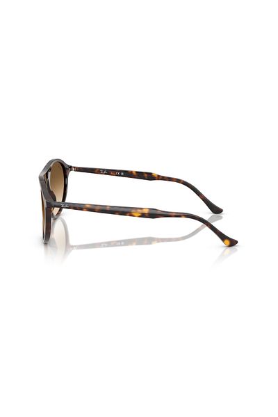 Ray-Ban Rb 2215 902/51 56 Ray-Ban Sunglasses