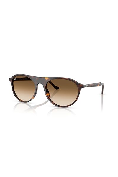 Ray-Ban Rb 2215 902/51 56 Ray-Ban Sunglasses