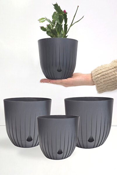 ATA HOME 4 Adet Dekoratif Saksı Seti Iç Ve Dış Mekan Için Çiçek Saksısı Masa ...