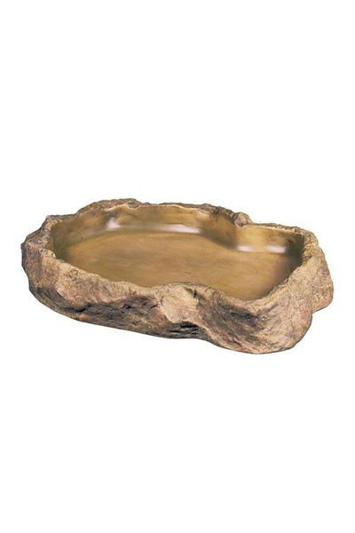 Exo Terra XL Reptile Feed Container