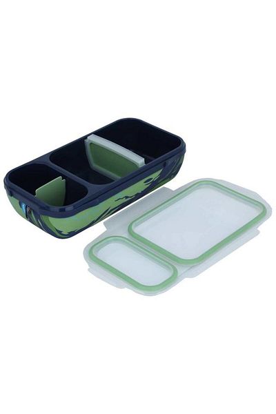 ALSAIF Plastic Lunch Box 1.3 L/43.9 Inch Divided Rectangle Colored