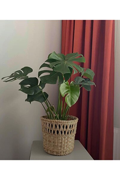 e&e süs dükkanı Hasır saksı sepet modeli