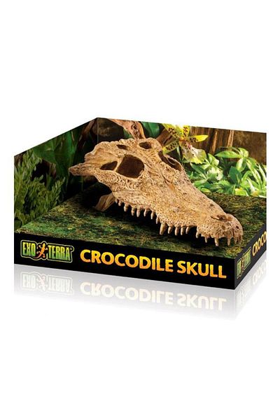 Exo Terra Reptile Nest Crocodile Skull Decor