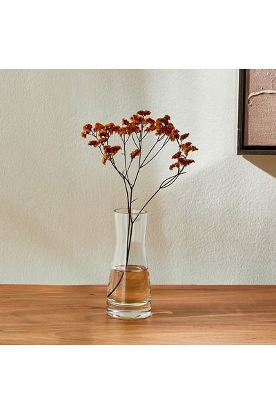 Home Box Kler Clear Glass Vase 6x6x14 cm