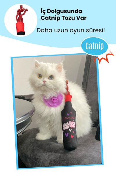 Miyav Loveyou Bad Pot - Bottle Drink - Rose Letter Toy Set