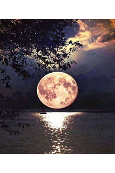 OZN AKSESUAR Sayılarla Boyama Tuval Seti  Numaralı Boyalar Ve Fırçalar Tam Se...