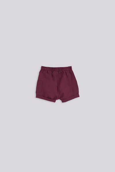 Layette Bg Store Baby Boy Burgundy Pants