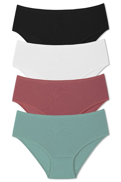 HNX 4 Pack Cotton Ribbed High Waist Plus Size Women's Panties