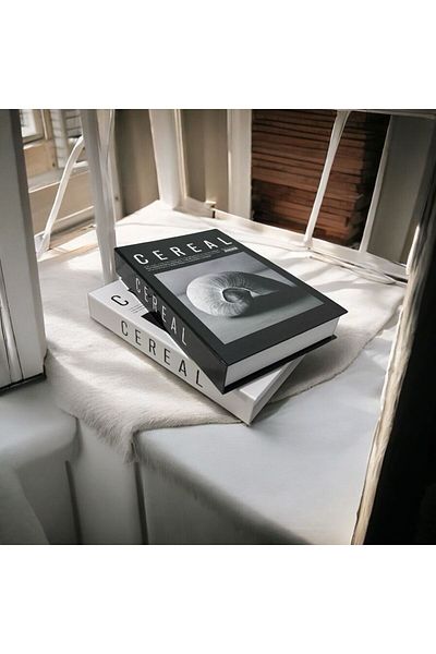 NARİBA Cereal Snail/Vase 2 Pieces Decorative Book Box Set
