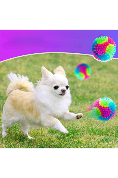 ithalattan Renkli Işıklı Diş Kaşıma ve Oyun Topu – Küçük ve Orta Irk Köpekler İçin