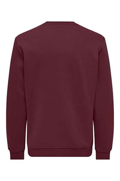 Only & Sons Kapuzenpullover ONSCONNOR Sweatshirt