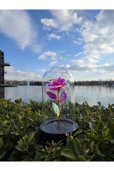 İB GLOBAL خاص لعيد الحب وعيد الأم، وردة الخلود المزخرفة التي لا تبهت، وردة في...