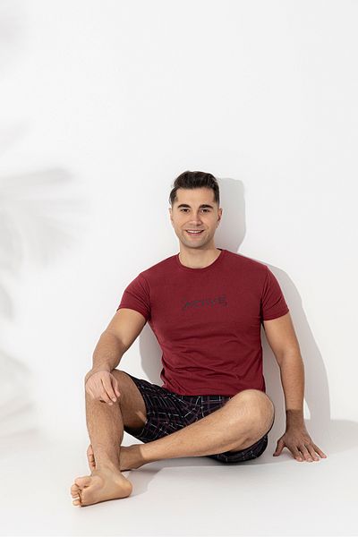 Sude HOMEWEAR Men's Short Sleeve-Shorts Bottom Checked Basic Pajama Set