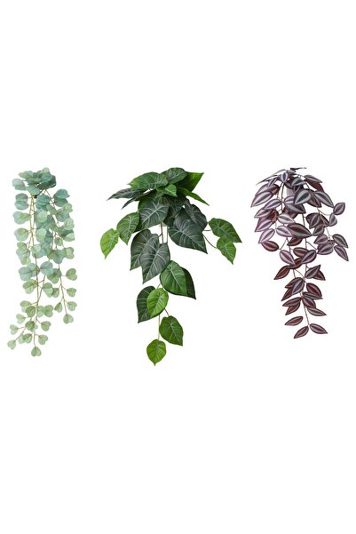 erorex نبات صناعي مع حامل حائط، داخلي/خارجي/أخضر/أرجواني