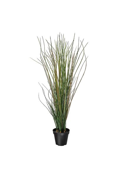 erorex Artificial potted plant, grass, 17 cm