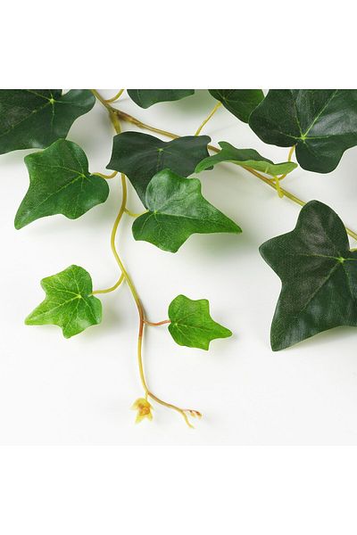 erorex Artificial garland, in/outdoor/Ivy green, 1.5 m